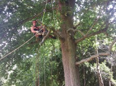 Tree Prunning